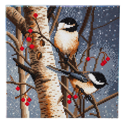 CAK-A76: "Woodland Sprites " Framed Crystal Art Kit 30 x 30cm (Medium)