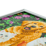 CAM-11: "Cat & Dog" Crystal Art Picture Frame Kit, 21 x 25cm