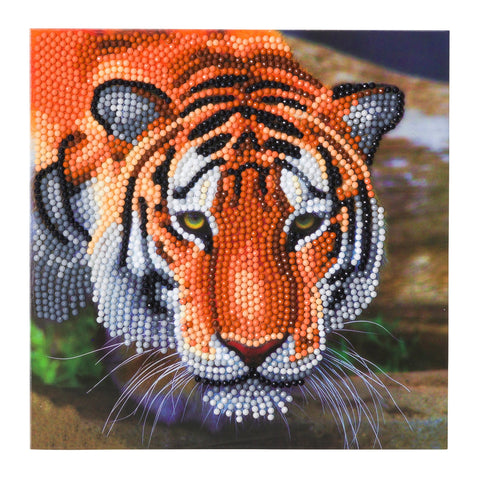 CCK-A40 "Tiger" Crystal Art Card Kit
