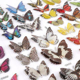 16 Pack 3D Butterflies & 2 Pack Assorted 3mm Adhesive Gems